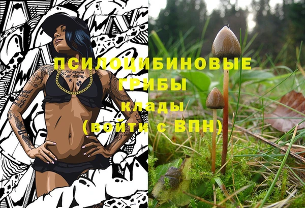 apvp Балабаново