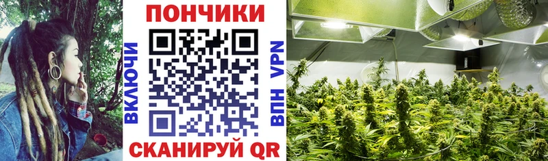 Шишки марихуана Ganja  mega ONION  Тотьма 